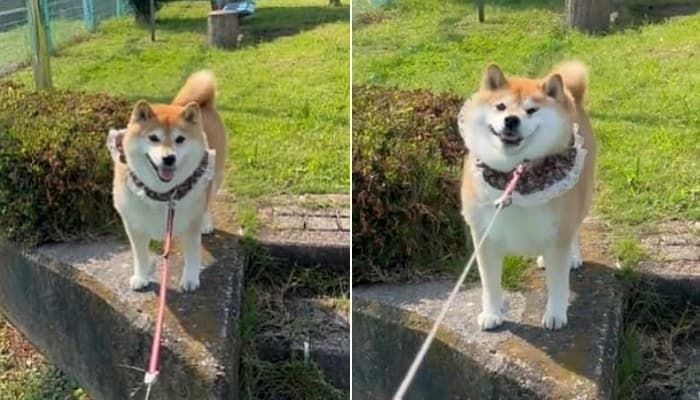 애니멀플래닛