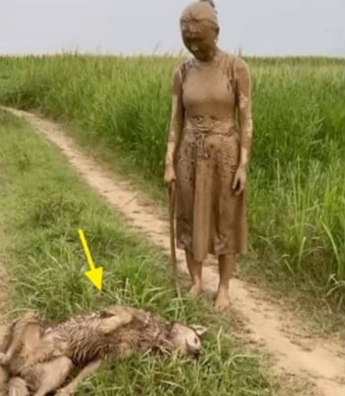 애니멀플래닛