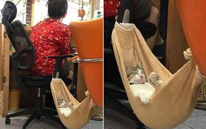 애니멀플래닛