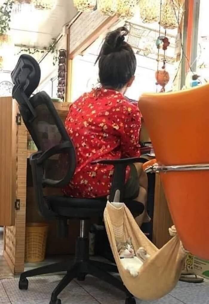 애니멀플래닛