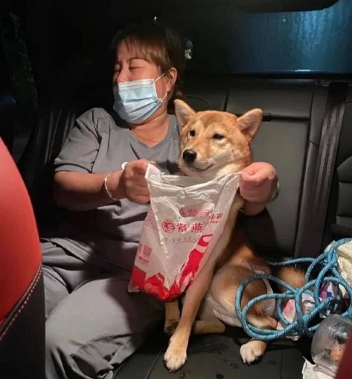 애니멀플래닛