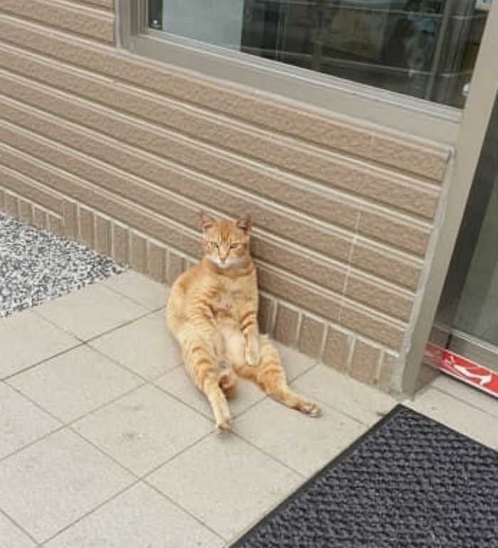 애니멀플래닛