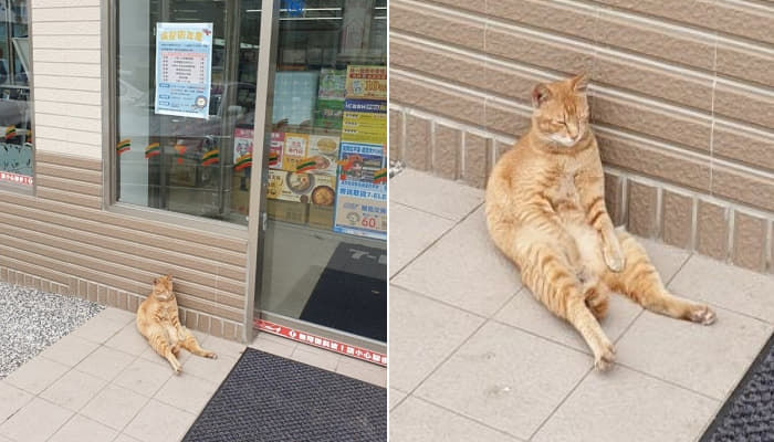 애니멀플래닛