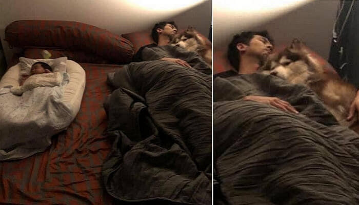 애니멀플래닛
