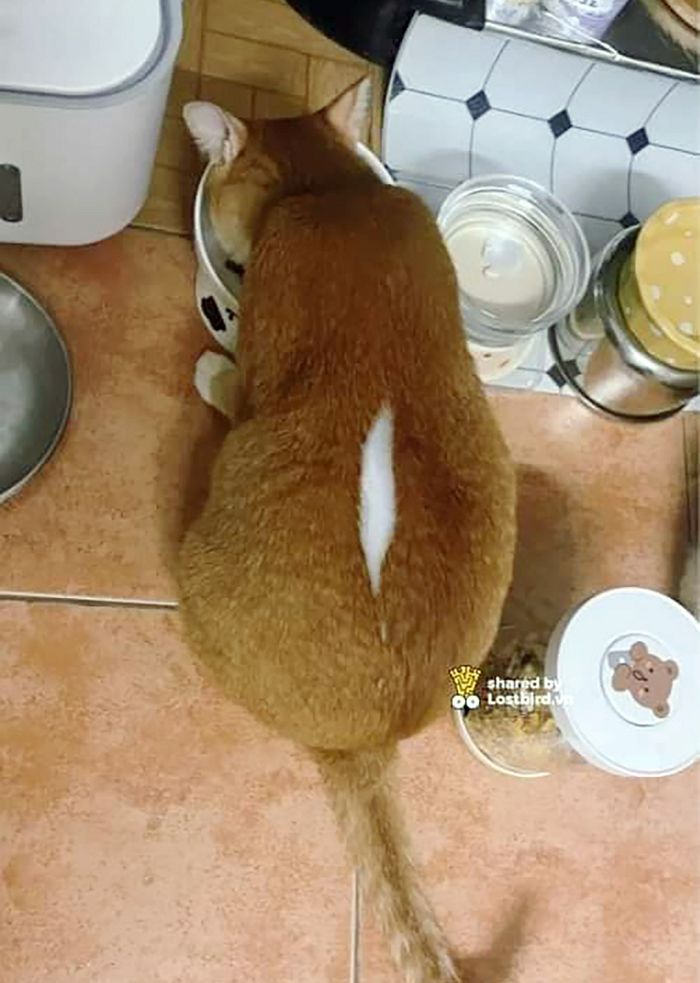 애니멀플래닛
