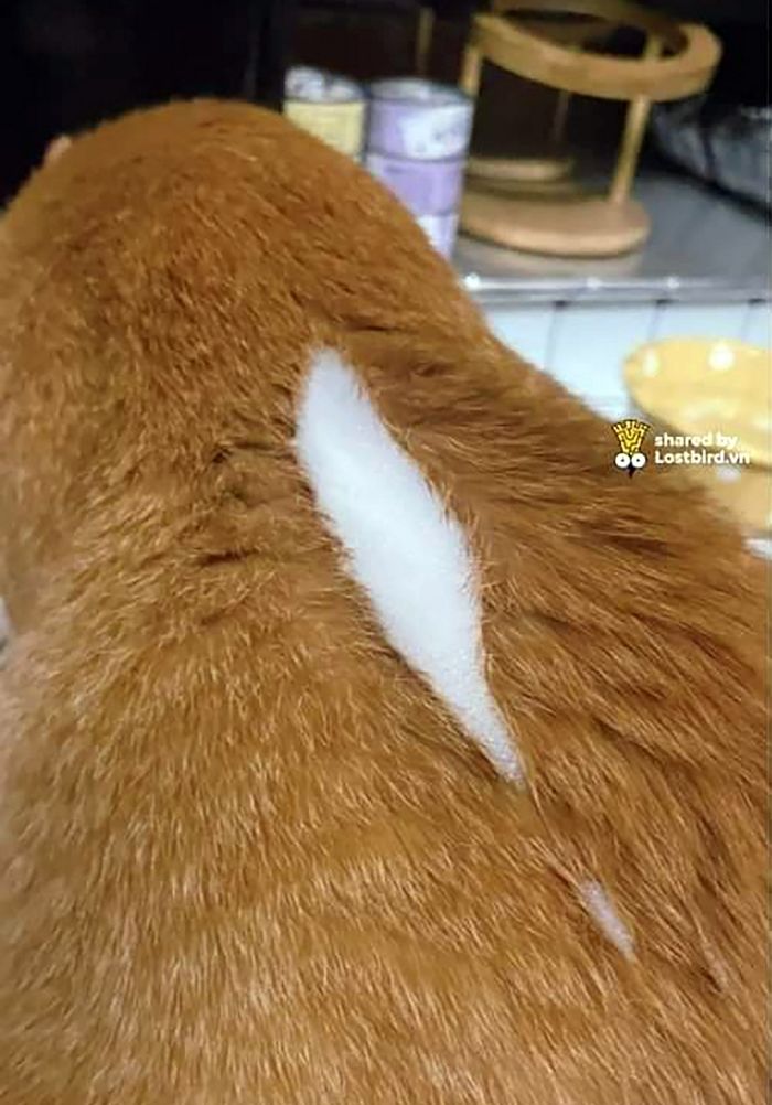 애니멀플래닛