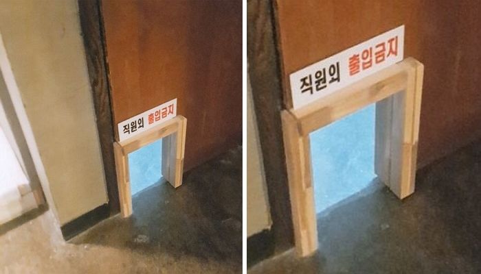 애니멀플래닛