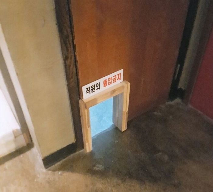 애니멀플래닛