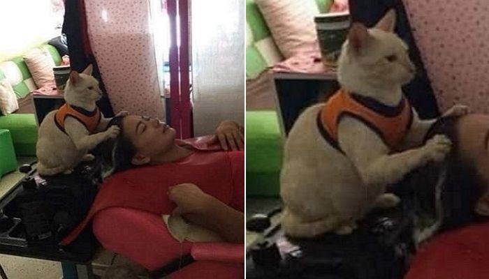 애니멀플래닛
