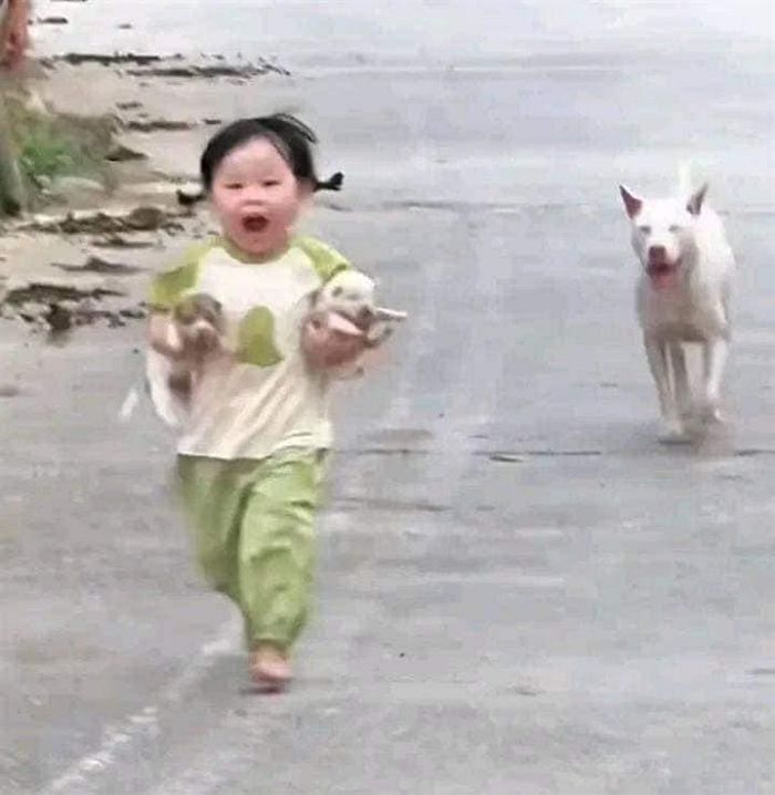 애니멀플래닛