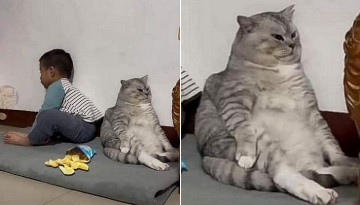 애니멀플래닛