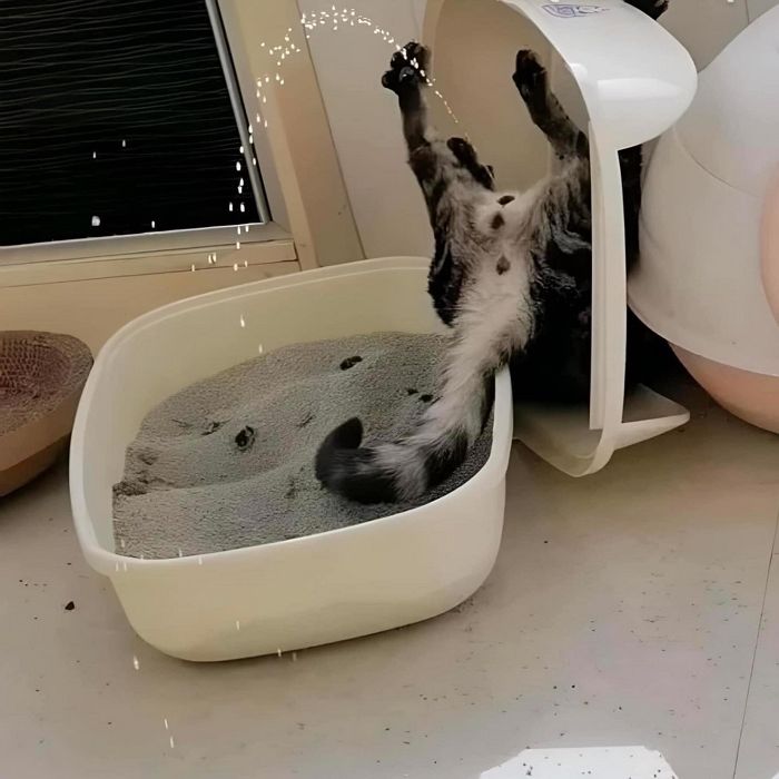 애니멀플래닛