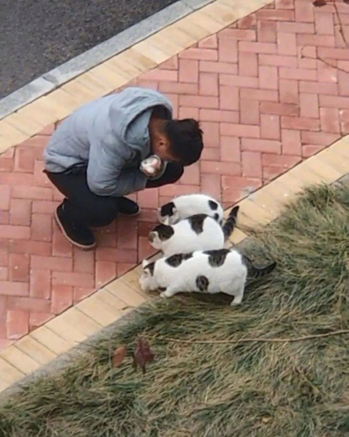 애니멀플래닛
