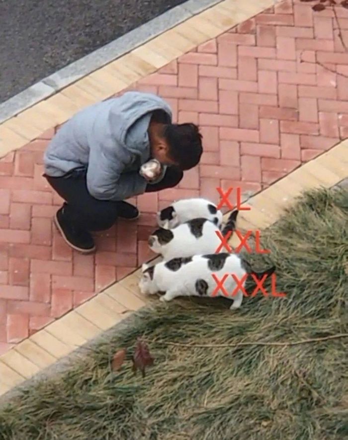 애니멀플래닛
