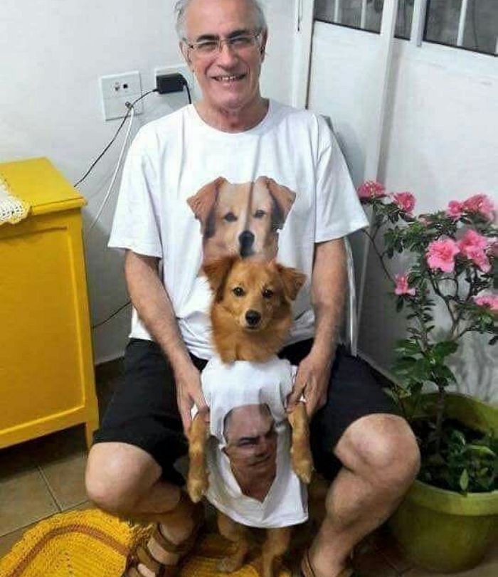 애니멀플래닛