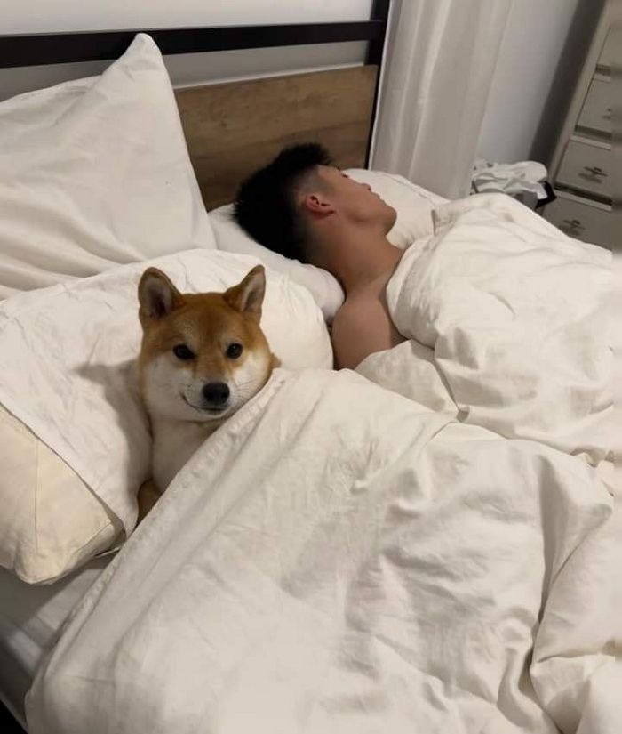 애니멀플래닛