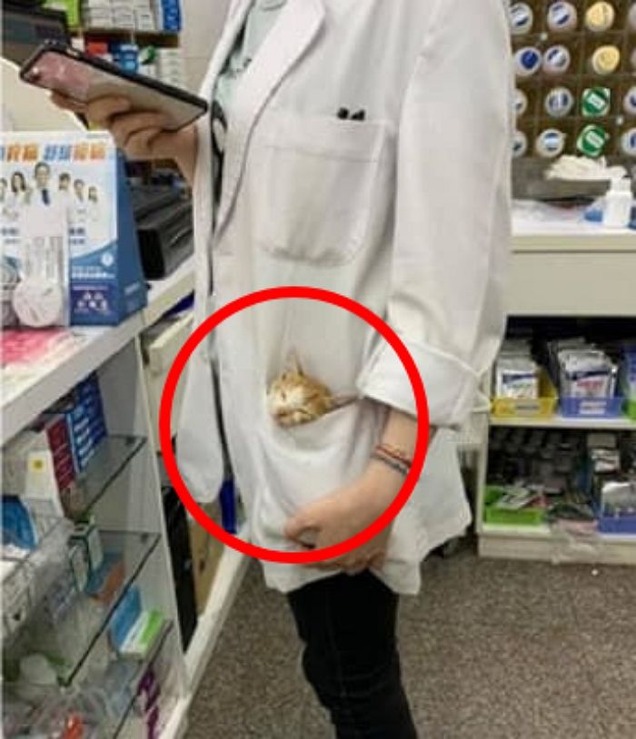 애니멀플래닛