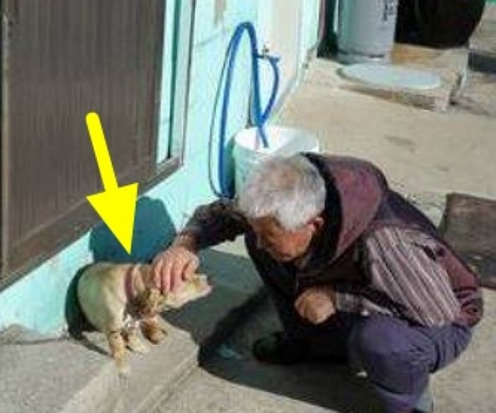 애니멀플래닛