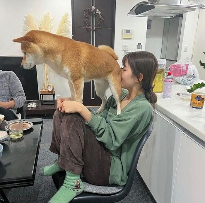 애니멀플래닛