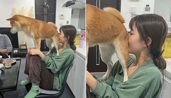애니멀플래닛