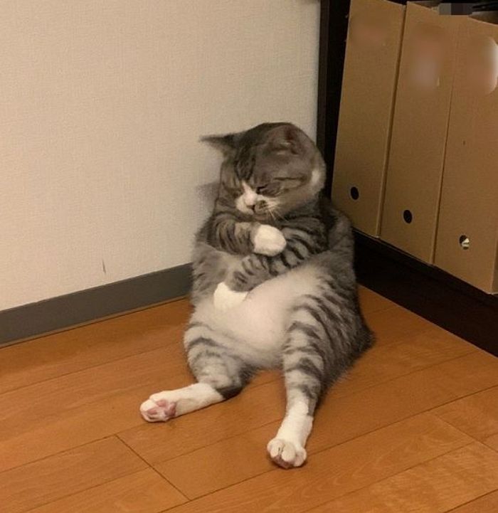 애니멀플래닛