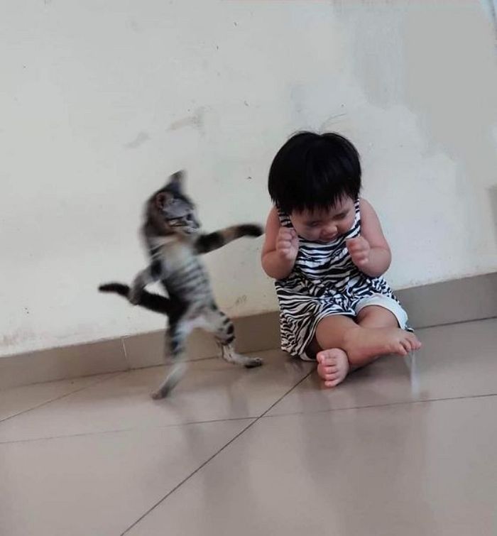 애니멀플래닛