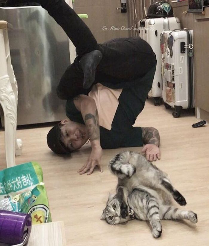 애니멀플래닛