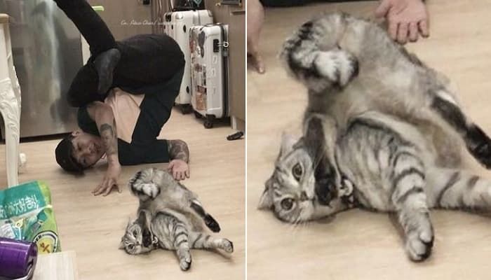 애니멀플래닛