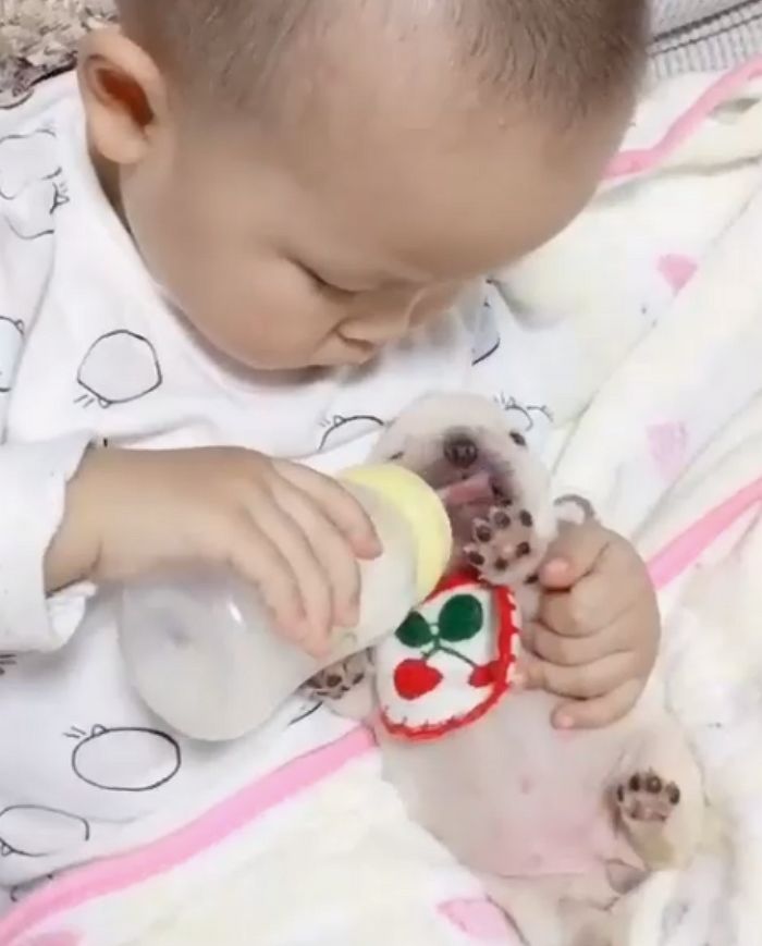애니멀플래닛