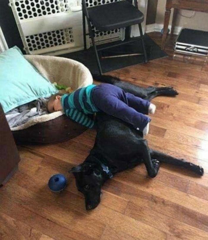 애니멀플래닛