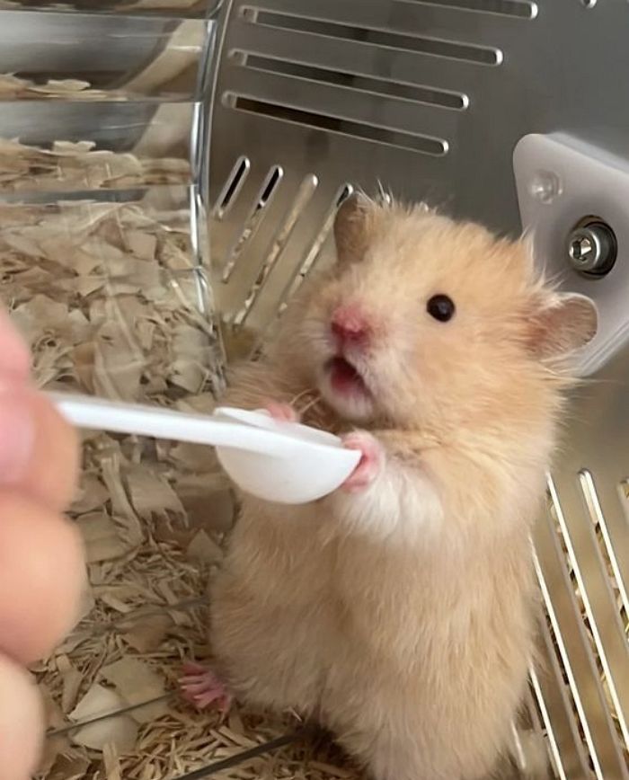 애니멀플래닛