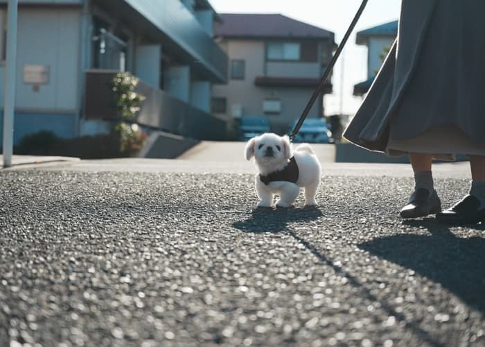 애니멀플래닛