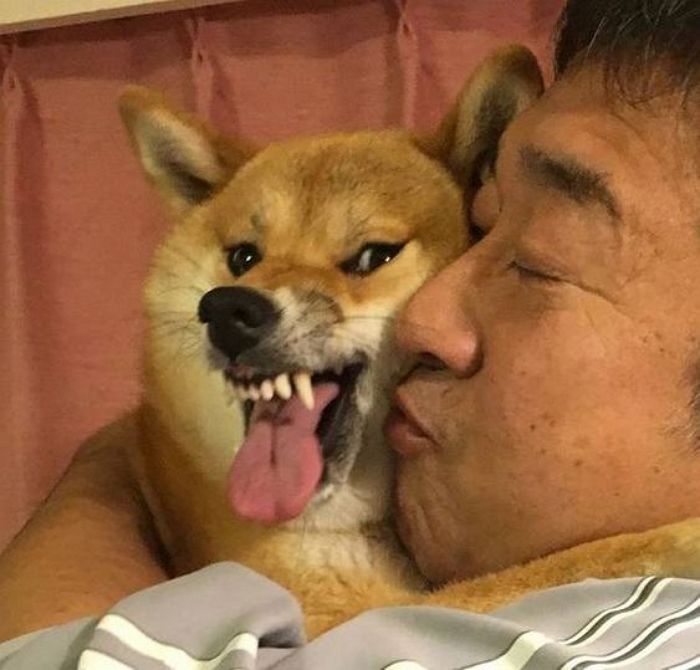 애니멀플래닛