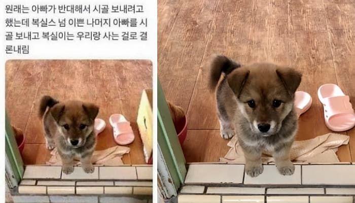 애니멀플래닛