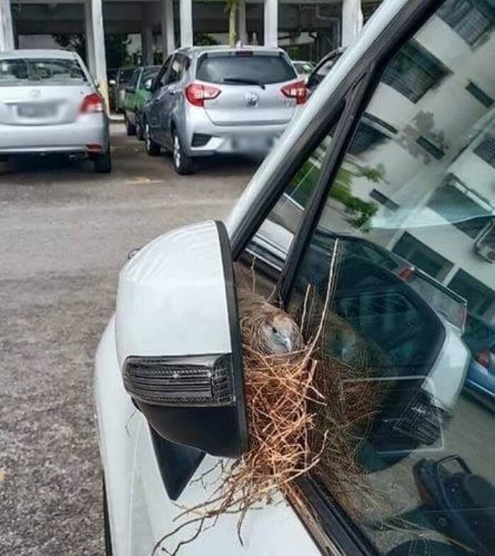 애니멀플래닛