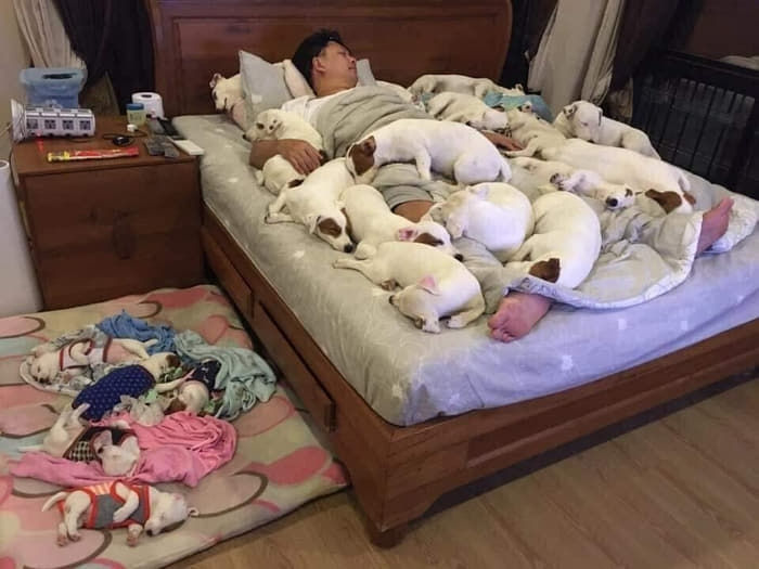 애니멀플래닛