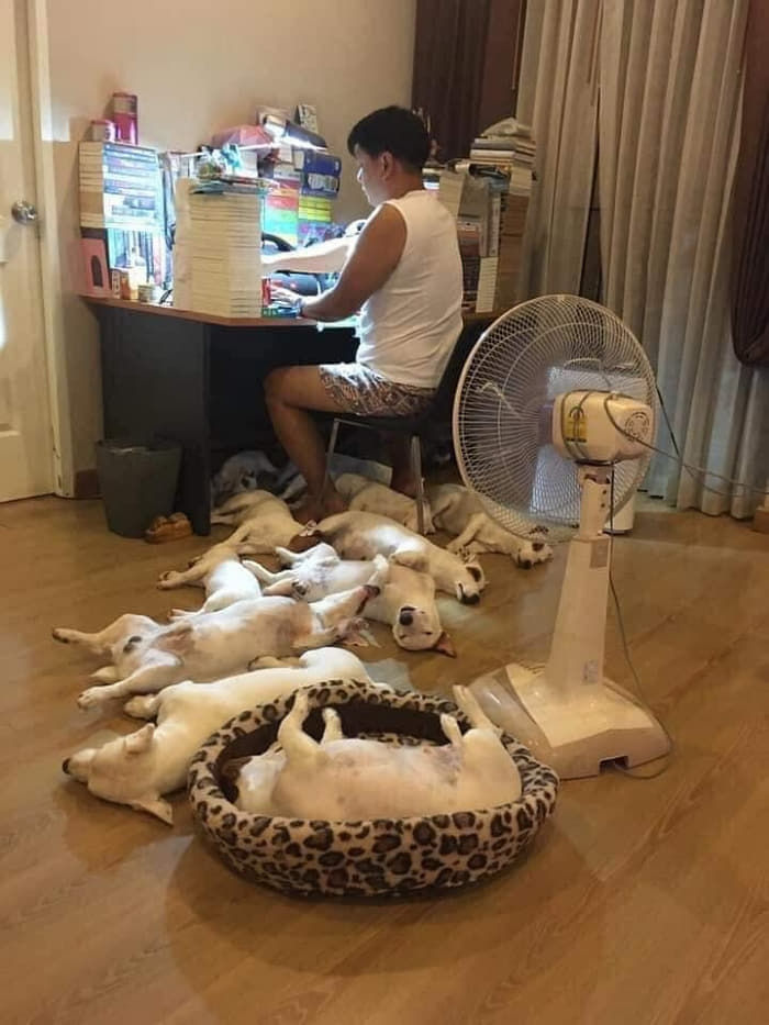 애니멀플래닛