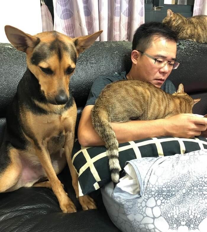애니멀플래닛