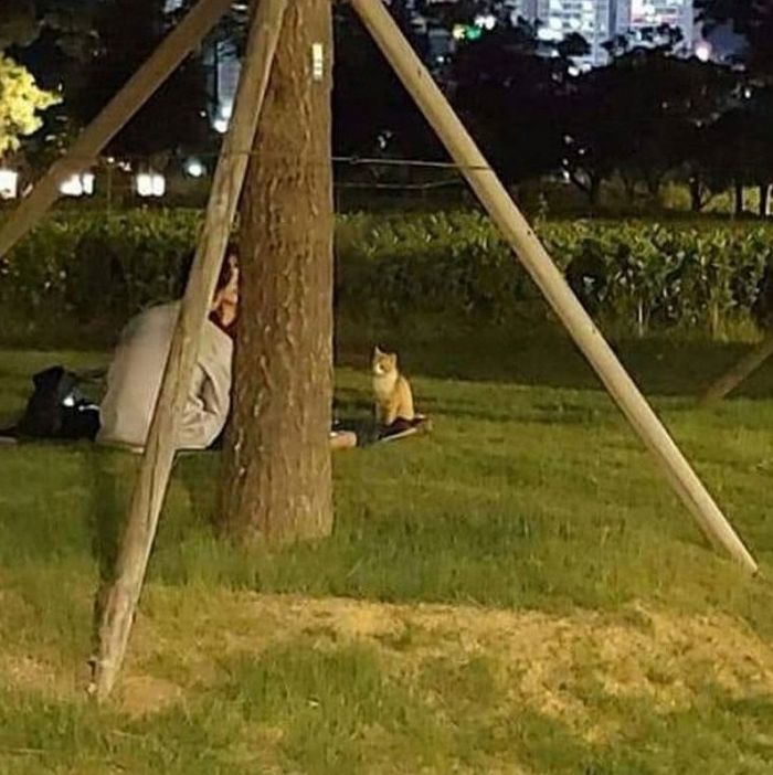 애니멀플래닛