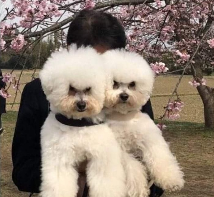 애니멀플래닛