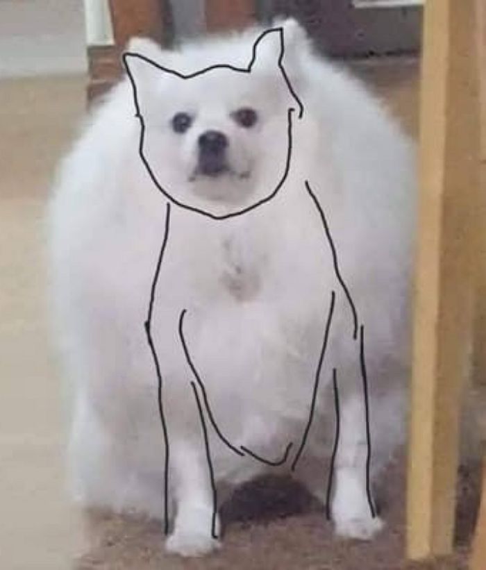 애니멀플래닛