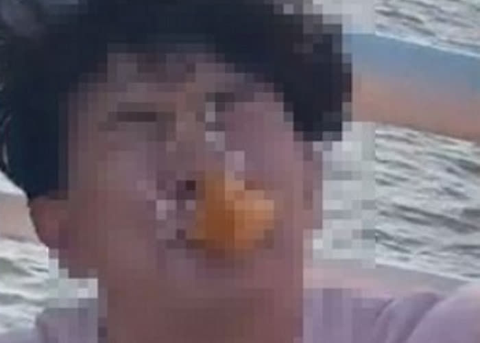 애니멀플래닛