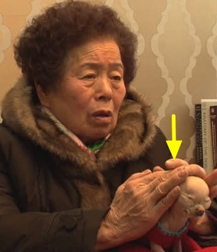 애니멀플래닛