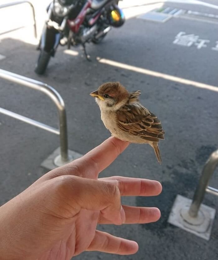 애니멀플래닛