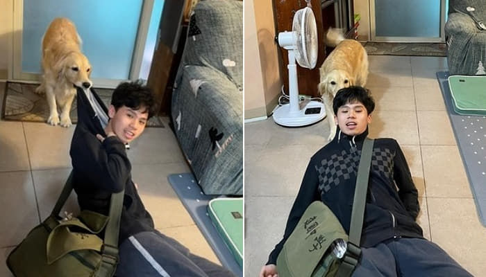 애니멀플래닛