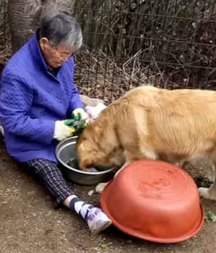 애니멀플래닛