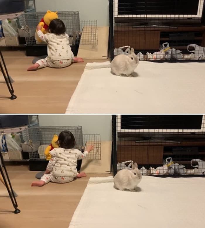 애니멀플래닛