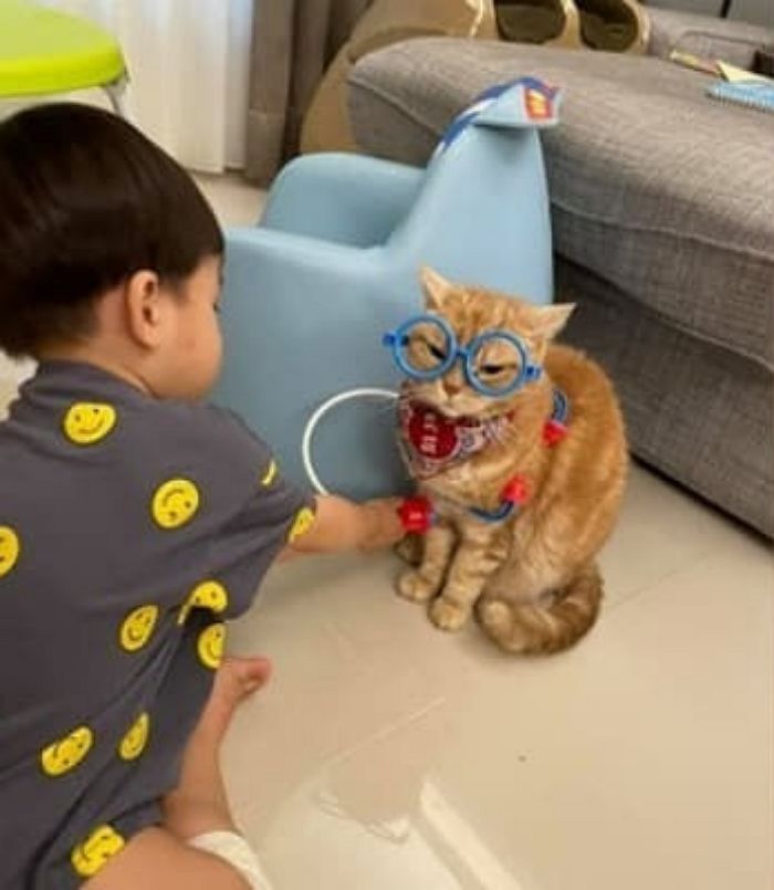 애니멀플래닛