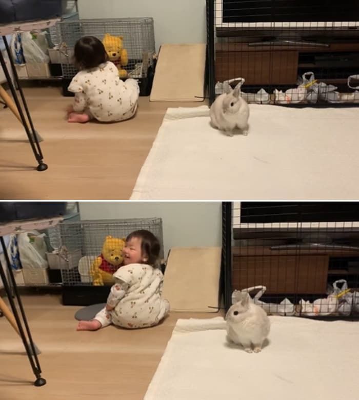 애니멀플래닛