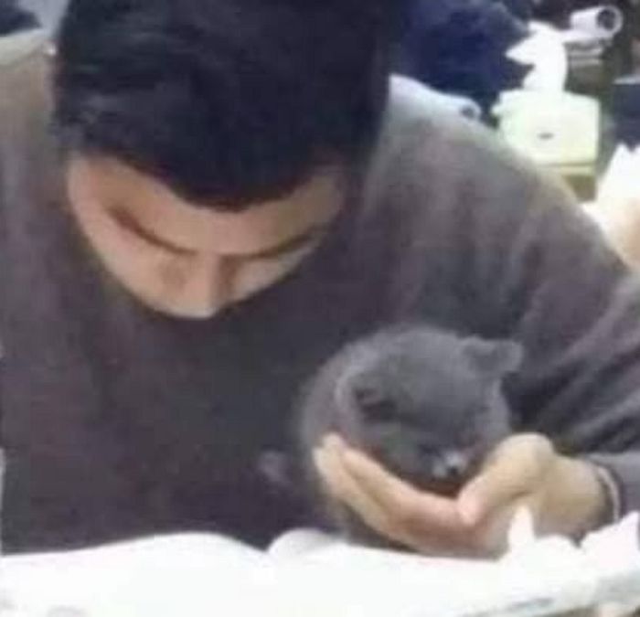 애니멀플래닛